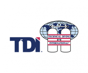 logotipo tdi