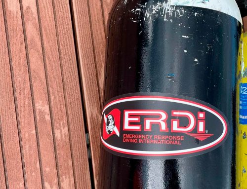 Reclutando a las personas adecuadas para equipos de Buceo de Seguridad Pública